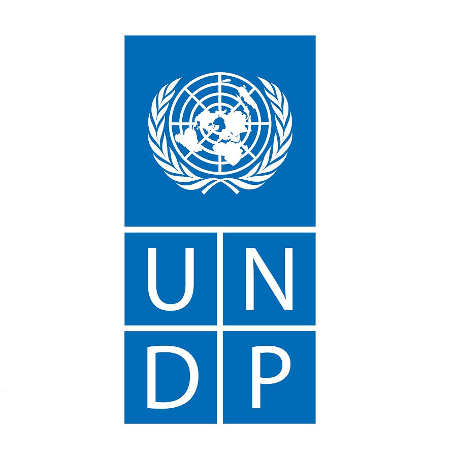 UNDP, the UN Development Programme